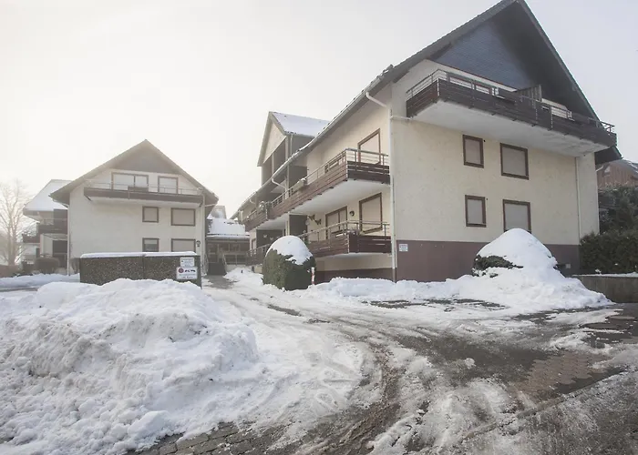 Welcome In - Feldstrasse 48-k, 100m De Skipiste, Skiberging En Balkon 빈터베르크